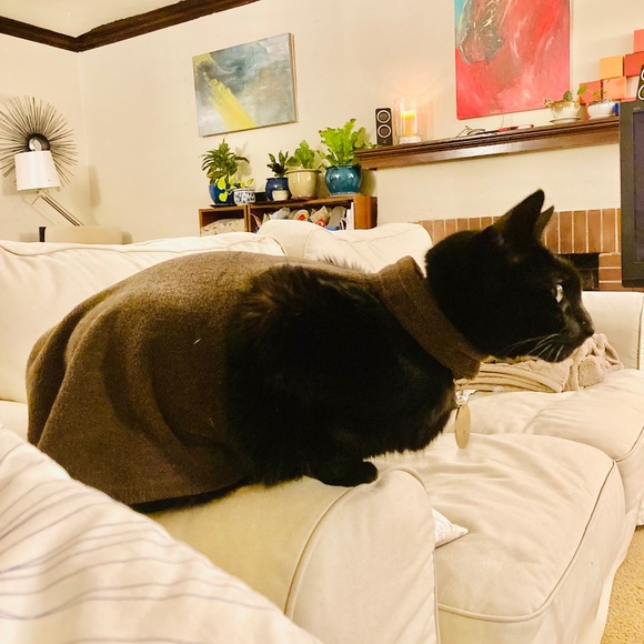 Meet your Posher, Anaïs - Picture 5 of 8